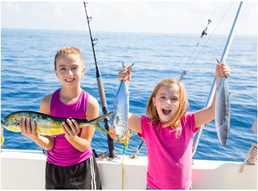 安卓ddos攻击工具